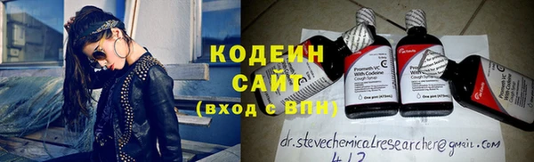 мдпв Бородино