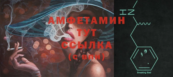 мдпв Бородино