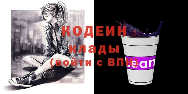 мдпв Бородино