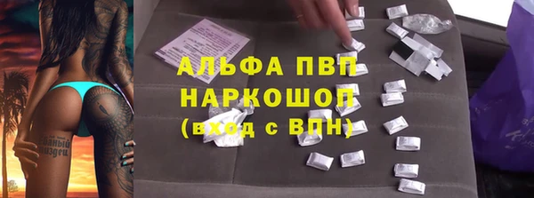 мдпв Бородино