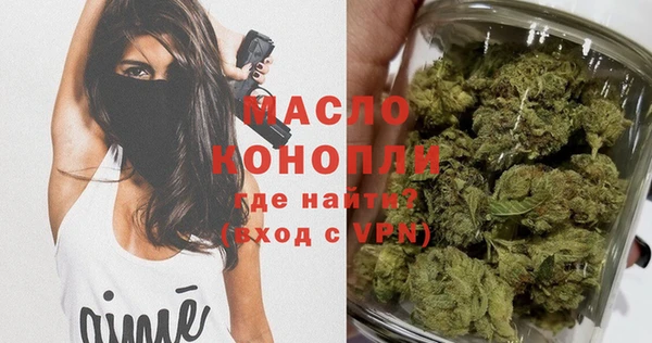 мдпв Бородино