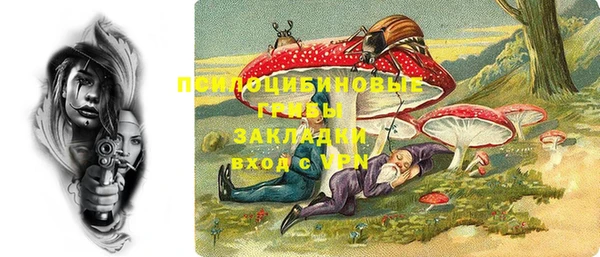 мдпв Бородино