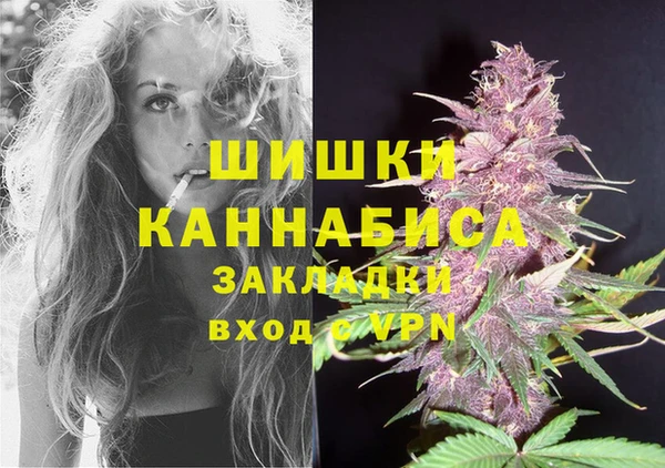 мдпв Бородино
