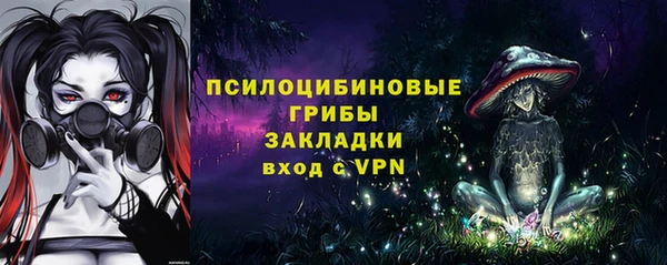 мдпв Бородино