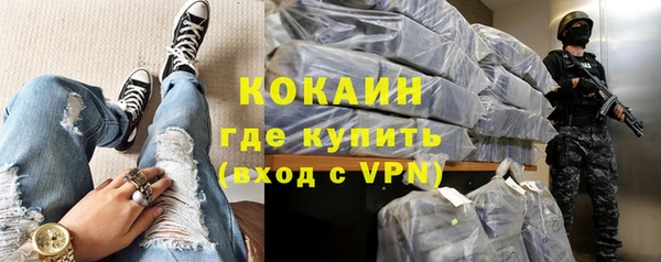 мдпв Бородино