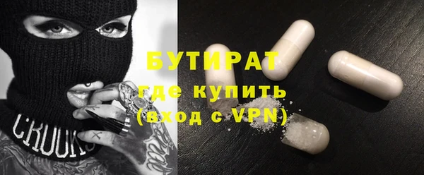 мдпв Бородино